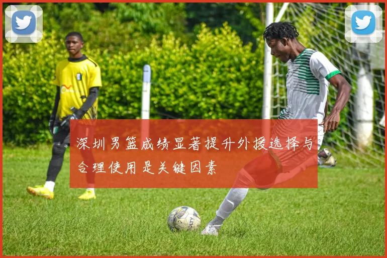 深圳男篮成绩显著提升外援选择与合理使用是关键因素