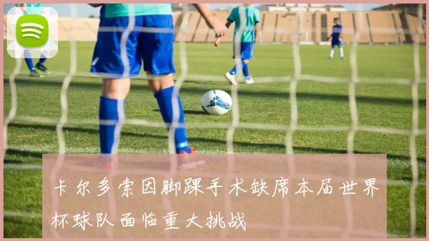 卡尔多索因脚踝手术缺席本届世界杯球队面临重大挑战
