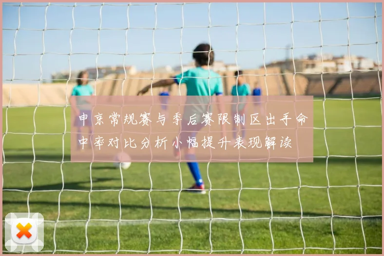 申京常规赛与季后赛限制区出手命中率对比分析小幅提升表现解读